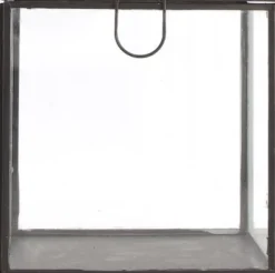 Intratuin Dijk Natural Collections Aufbewahrungsbox Glas schwarz 13,5 x 13,5 x 13,5 cm| Aufbewahrung