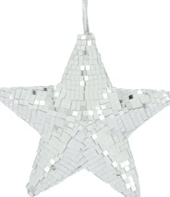 Intratuin Dijk Natural Collections Weihnachtsstern silber D 18 H 6 cm| Weihnachtssterne