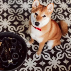 Intratuin District 70 Hundenapf Bamboo Anti-Schling M grau D 21 H 5,3 cm| Futternäpfe & Trinknäpfe|Futternäpfe & Trinknäpfe