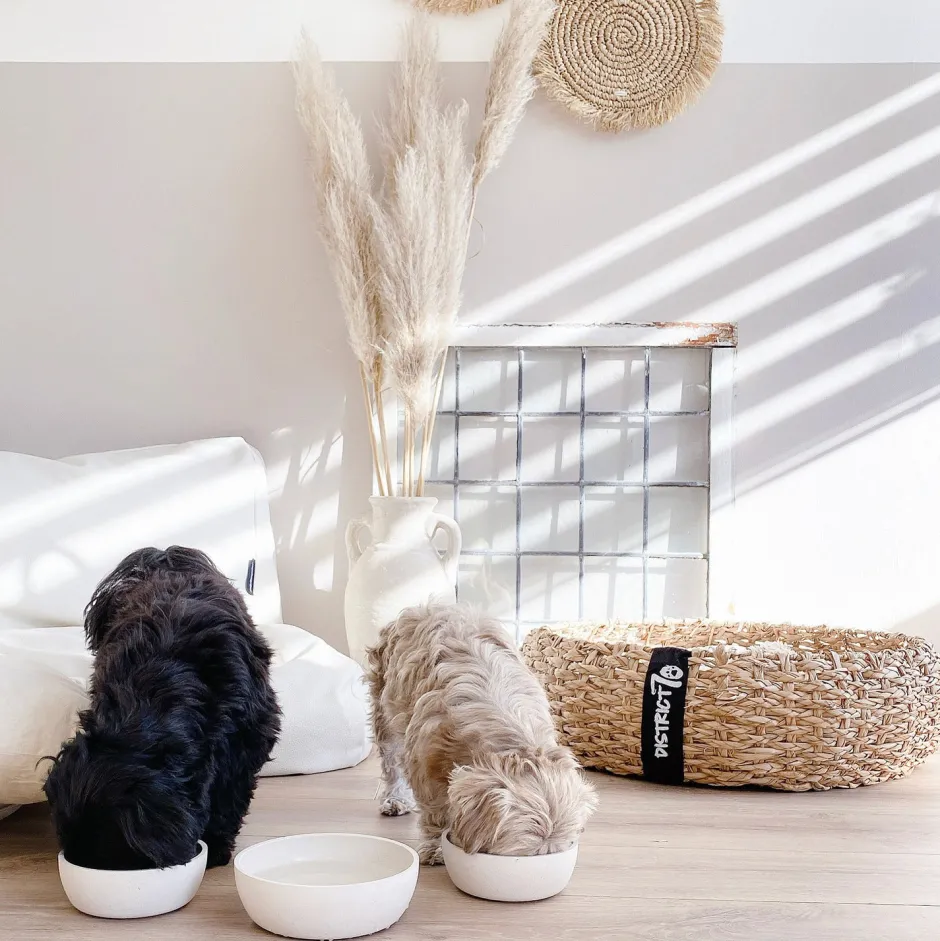 Intratuin District 70 Hundenapf Bamboo M beige D 17,5 H 5,8 cm 1000 ml| Futternäpfe & Trinknäpfe|Futternäpfe & Trinknäpfe