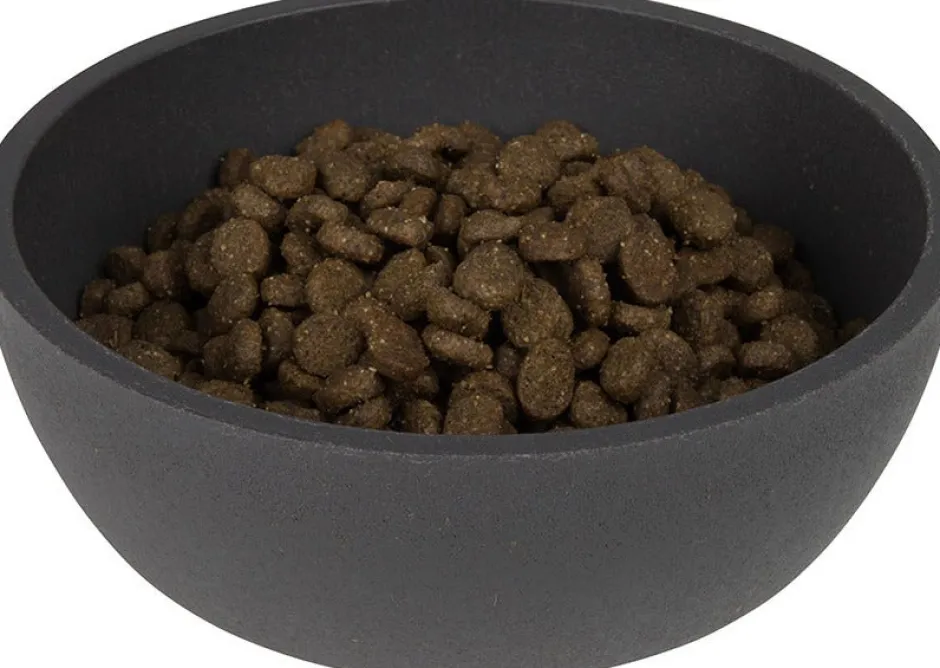 Intratuin District 70 Hundenapf Bamboo small grau D 14 H 5,2 cm 570 ml| Futternäpfe & Trinknäpfe|Futternäpfe & Trinknäpfe