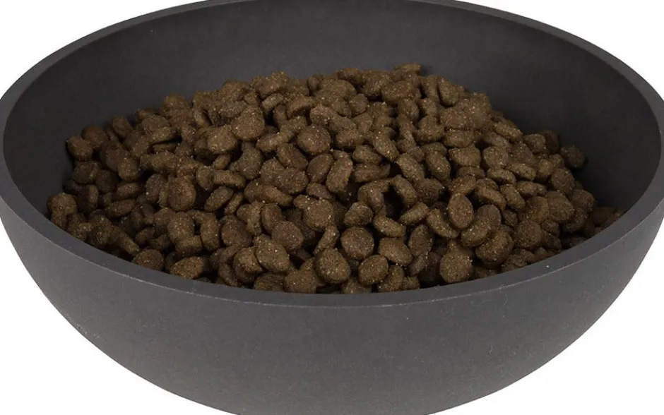 Intratuin District 70 Hundenapf Bamboo L grau D 21 H 6,3 cm 1600 ml| Futternäpfe & Trinknäpfe|Futternäpfe & Trinknäpfe