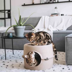 Intratuin District 70 Katzenkorb Höhle D 44 H 30 cm| Katzenbetten & -Körbe