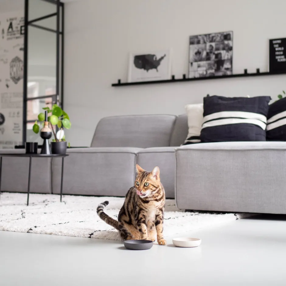 Intratuin District 70 Katzennapf Bamboo XS beige D 12 H 2,8 cm| Futternäpfe & Trinknäpfe|Futternäpfe & Trinknäpfe