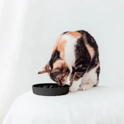 Intratuin District 70 Katzennapf Bamboo Anti-Schling S grau D 13,5 H 2,6 cm| Futternäpfe & Trinknäpfe|Futternäpfe & Trinknäpfe