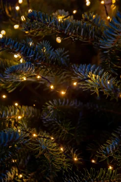 Intratuin Drahtlichterkette gold 18 m mit 600 LEDs| Mini- & Drahtlichterketten