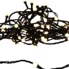 Intratuin Drahtlichterkette schwarz 10 m mit 100 LEDs warmweiß| Motiv-Lichterketten