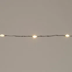 Intratuin Drahtlichterkette schwarz 2 m mit 40 LEDs warmweiß| Mini- & Drahtlichterketten