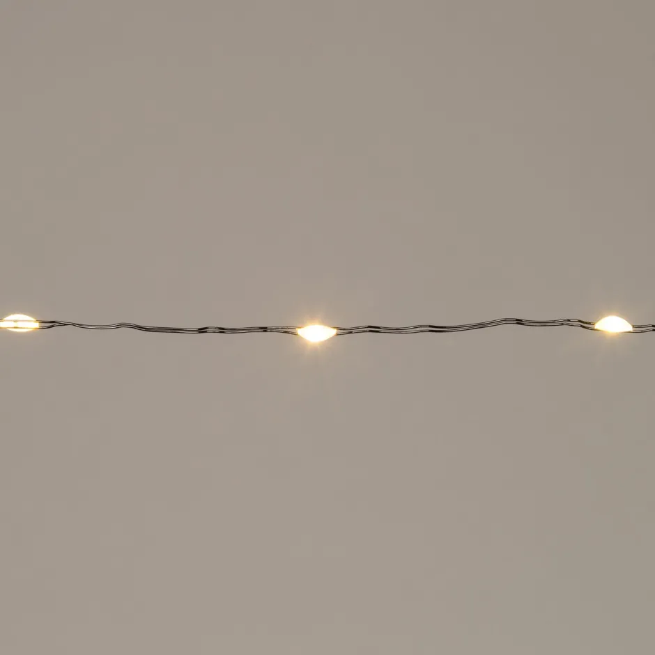 Intratuin Drahtlichterkette schwarz 2 m mit 40 LEDs warmweiß| Mini- & Drahtlichterketten