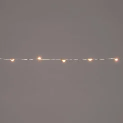 Intratuin Drahtlichterkette silber 1 m innen mit 20 LEDs inkl. Timer warmweiß| Mini- & Drahtlichterketten