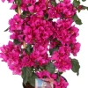 Intratuin Drillingsblume (Bougainvillea 'Sanderiana Renate') D 21 H 70 cm| Blühende Pflanzen