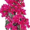 Intratuin Drillingsblume (Bougainvillea glabra 'Sanderiana') D 21 H 70 cm| Blühende Pflanzen|Kletterpflanzen