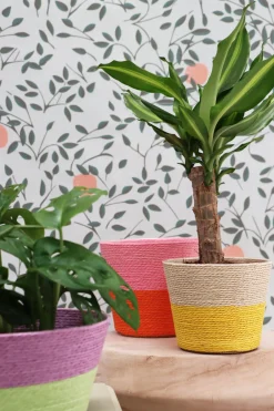 Intratuin Duif Pflanzkorb Riley naturell / gelb D 19 H 16 cm| Pflanzkörbe|Pflanzkörbe