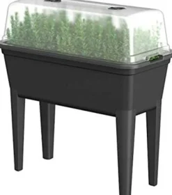 Intratuin Easyday Anzuchtkasten mit Deckel 78 x 76 x 37 cm| Anzuchtkästen & Mini-Gewächshäuser