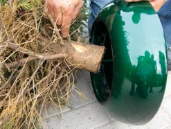 Intratuin EasyFix Weihnachtsbaumständer grün D 39 cm| Weihnachtsbaumständer