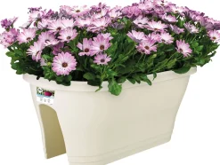 Intratuin Elho Balkonkasten Corsica weiß 58 x 29,6 x 24 cm| Balkonkästen|Blumentöpfe & Pflanzgefäße