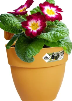 Intratuin Elho Balkonkasten Vibia Easyhanger gelb 20,5 x 24,1 x 26,5 cm| Blumenampeln & Hängetöpfe|Blumentöpfe & Pflanzgefäße