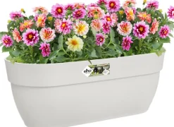 Intratuin Elho Balkonkasten Vibia Easyhanger weiß 46 x 24,1 x 26,5 cm| Balkonkästen|Blumentöpfe & Pflanzgefäße