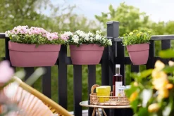 Intratuin Elho Balkonkasten Vibia Easyhanger rosa 46 x 24,1 x 26,5 cm| Balkonkästen|Blumentöpfe & Pflanzgefäße