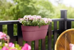 Intratuin Elho Balkonkasten Vibia Easyhanger rosa 46 x 24,1 x 26,5 cm| Balkonkästen|Blumentöpfe & Pflanzgefäße