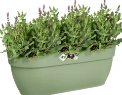 Intratuin Elho Balkonkasten Vibia Easyhanger grün 46 x 24,1 x 26,5 cm| Balkonkästen|Blumentöpfe & Pflanzgefäße