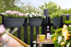 Intratuin Elho Balkonkasten Vibia Easyhanger anthrazit 20,5 x 24,1 x 26,5 cm| Blumenampeln & Hängetöpfe|Blumentöpfe & Pflanzgefäße