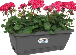 Intratuin Elho Barcelona Balkonkasten XL all-in-1 55 x 32,2 x 22,7 cm anthrazit| Balkonkästen|Blumentöpfe & Pflanzgefäße