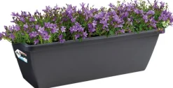 Intratuin Elho Barcelona Balkonkasten 90 cm anthrazit| Balkonkästen|Blumentöpfe & Pflanzgefäße