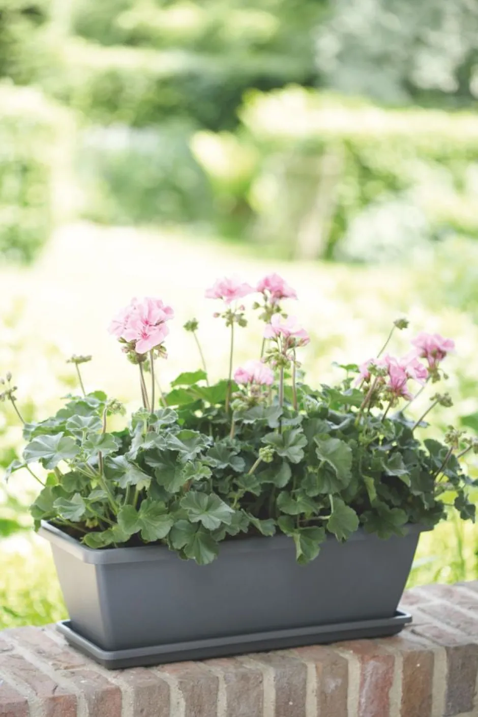 Intratuin Elho Barcelona Balkonkasten Untersetzer 90 cm anthrazit| Untersetzer