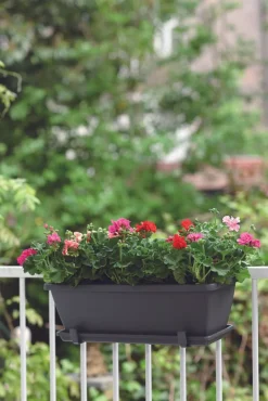 Intratuin Elho Barcelona Balkonkasten Untersetzer 70 cm anthrazit| Untersetzer