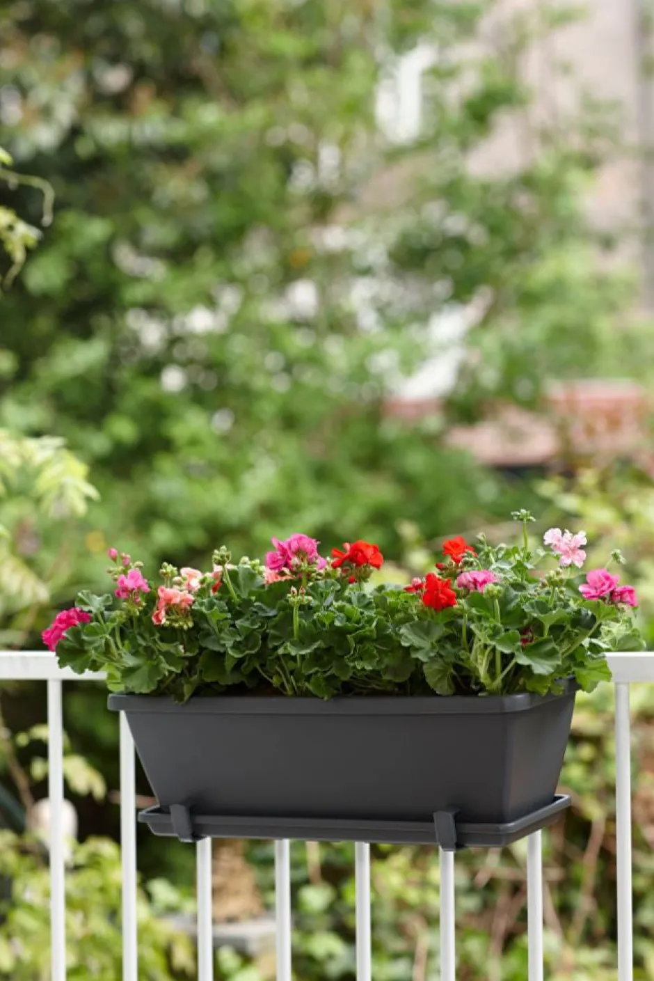 Intratuin Elho Barcelona Balkonkasten Untersetzer 70 cm anthrazit| Untersetzer