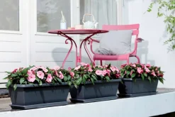 Intratuin Elho Barcelona XL Blumenkasten 60 cm anthrazit| Pflanzkübel|Blumentöpfe & Pflanzgefäße