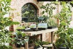 Intratuin Elho green basics Anzuchtkasten Deckel 35,8 x 25,5 x 12,9 cm| Anzuchtkästen & Mini-Gewächshäuser