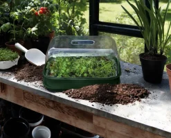 Intratuin Elho green basics Anzuchtschale grün 36 x 26,5 x 6,3 cm| Anzuchtkästen & Mini-Gewächshäuser