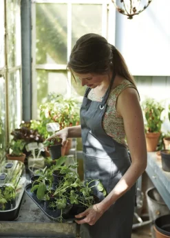 Intratuin Elho green basics Anzuchtschale M schwarz 35,7 x 25,6 x 2,2 cm| Anzuchtkästen & Mini-Gewächshäuser