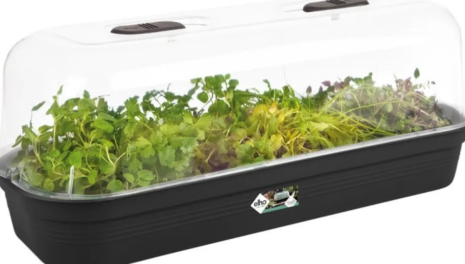 Intratuin Elho green basics Anzuchtschale schwarz 51,2 x 19,5 x 7,5 cm| Anzuchtkästen & Mini-Gewächshäuser