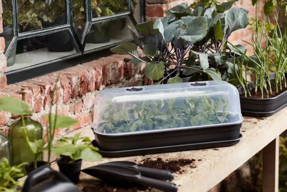 Intratuin Elho green basics Anzuchtschale schwarz 51,2 x 19,5 x 7,5 cm| Anzuchtkästen & Mini-Gewächshäuser