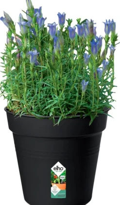 Intratuin Elho green basics Anzuchttopf D 17 H 15,6 cm schwarz| Anzuchttöpfe