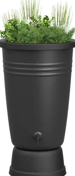 Intratuin Elho green basics Regentonne plus 200 l| Gießen & Bewässerung|Regentonnen