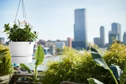 Intratuin Elho Hängetopf Greenville weiß D 23,9 H 20,3 cm| Blumenampeln & Hängetöpfe|Blumentöpfe & Pflanzgefäße