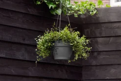 Intratuin Elho Hängetopf Vibia D 26 H 18 cm anthrazit| Blumenampeln & Hängetöpfe|Blumentöpfe & Pflanzgefäße