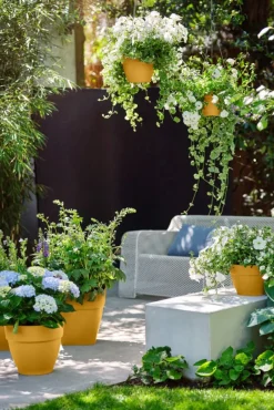 Intratuin Elho Hängetopf Vibia gelb D 26 H 18 cm| Blumenampeln & Hängetöpfe|Blumentöpfe & Pflanzgefäße