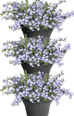 Intratuin Elho Hängetöpfe Corsica anthrazit 26,7 x 17 x 29,7 cm 3 St.| Blumenampeln & Hängetöpfe|Blumentöpfe & Pflanzgefäße
