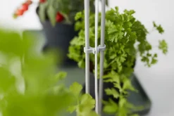 Intratuin Elho Pflanzenlampe Light Garden grün 44,3 x 27 x 7,8 cm| Pflanzenlampen