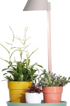 Intratuin Elho Pflanzenlampe Plant light care grau D 25 H 47 cm| Pflanzenlampen