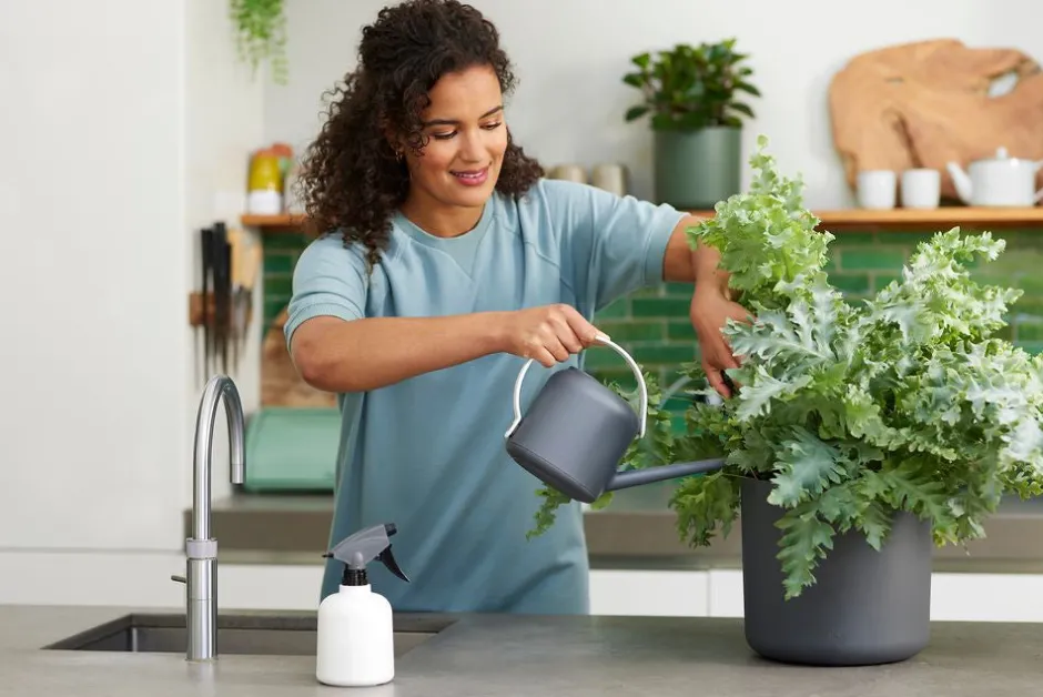 Intratuin Elho Pflanzensprüher 'B. for soft' weiß 0,6 l D 9,5 x H 18,9 cm| Gießen & Bewässerung|Drucksprüher & Pflanzensprüher