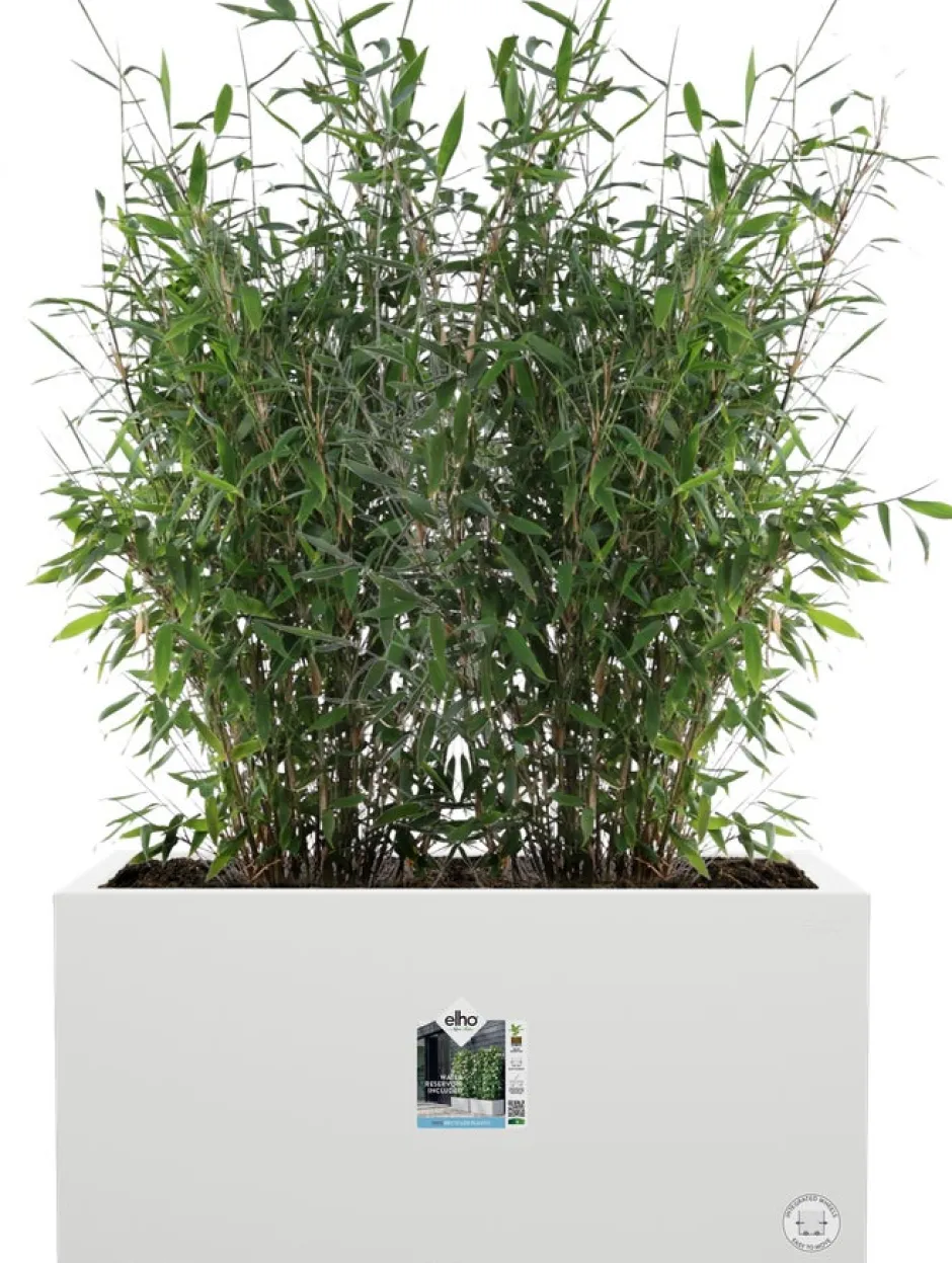 Intratuin Elho Pflanzkübel Vivo 39 x 78 x 37,5 cm weiß| Pflanzkübel|Pflanzkübel & Blumenkübel