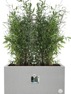 Intratuin Elho Pflanzkübel Vivo 39 x 78 x 37,5 cm grau| Pflanzkübel|Pflanzkübel & Blumenkübel