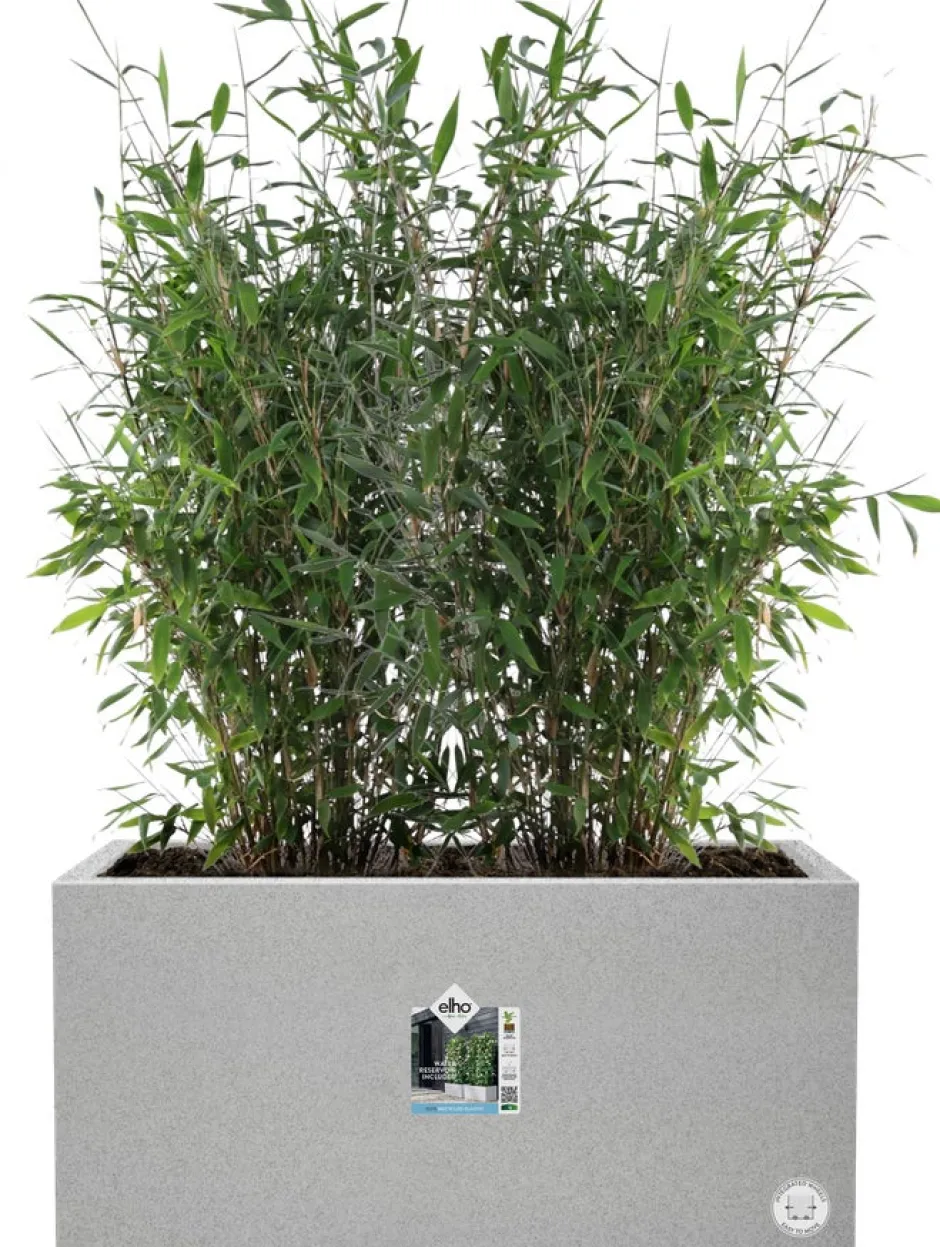 Intratuin Elho Pflanzkübel Vivo 39 x 78 x 37,5 cm grau| Pflanzkübel|Pflanzkübel & Blumenkübel