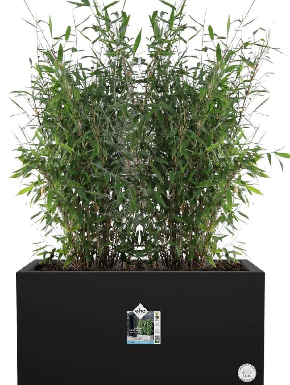 Intratuin Elho Pflanzkübel Vivo 39 x 78 x 37,5 cm schwarz| Pflanzkübel|Pflanzkübel & Blumenkübel